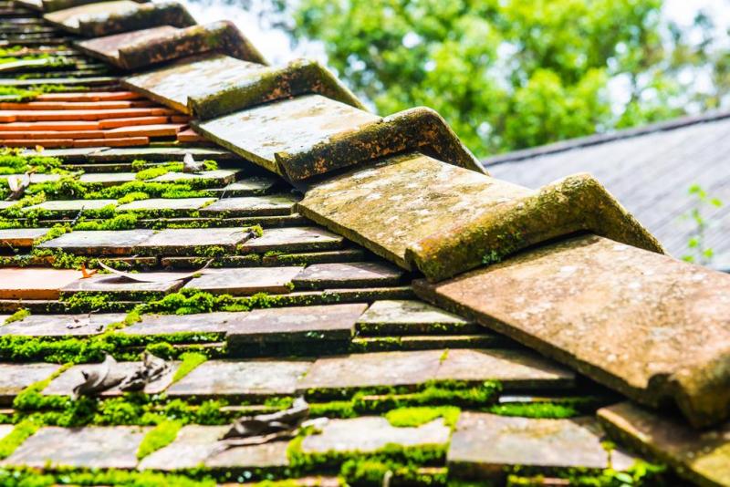 Tout savoir sur le nettoyage de toiture &agrave; Rochefort
