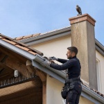 Comment prot&eacute;ger sa toiture des pigeons gr&acirc;ce &agrave; l'effarouchage de volatiles ?